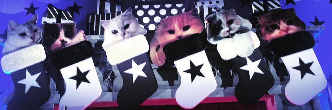 ひものんぬ banner