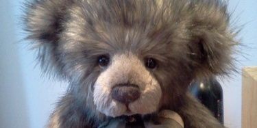 wildlifelass's profile banner image