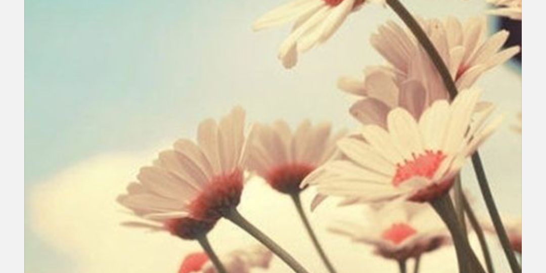 kaleyhatfield's profile banner image