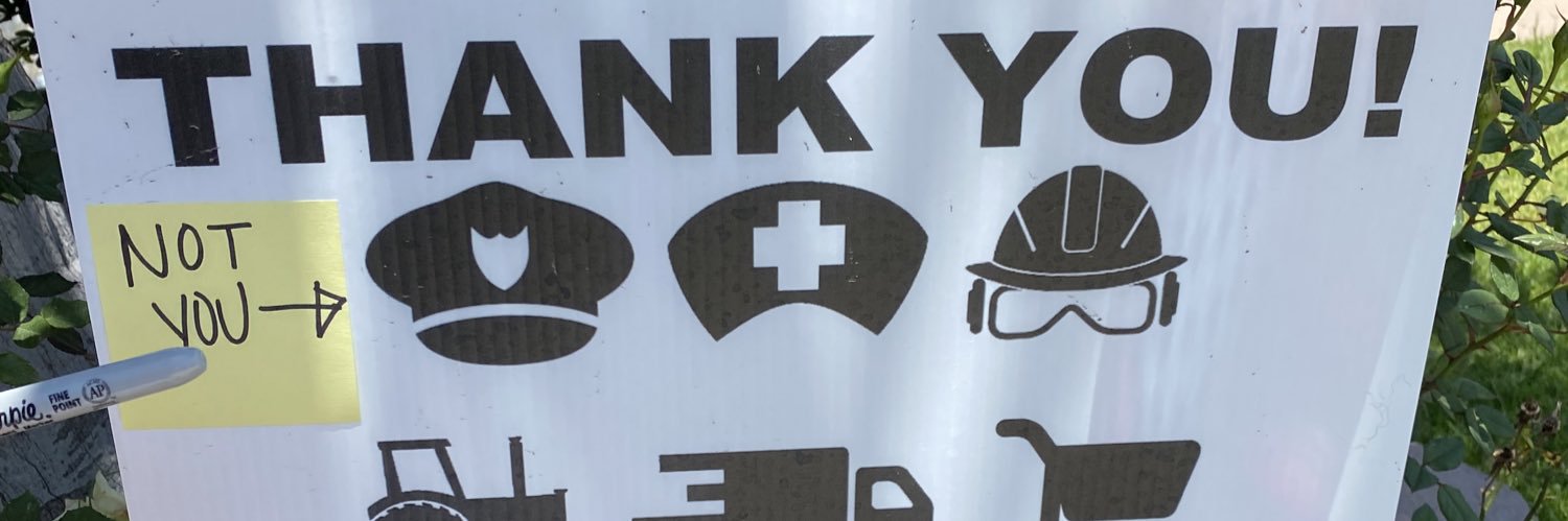 Ms Tryl banner