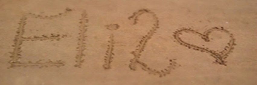 _Elisson2's profile banner image