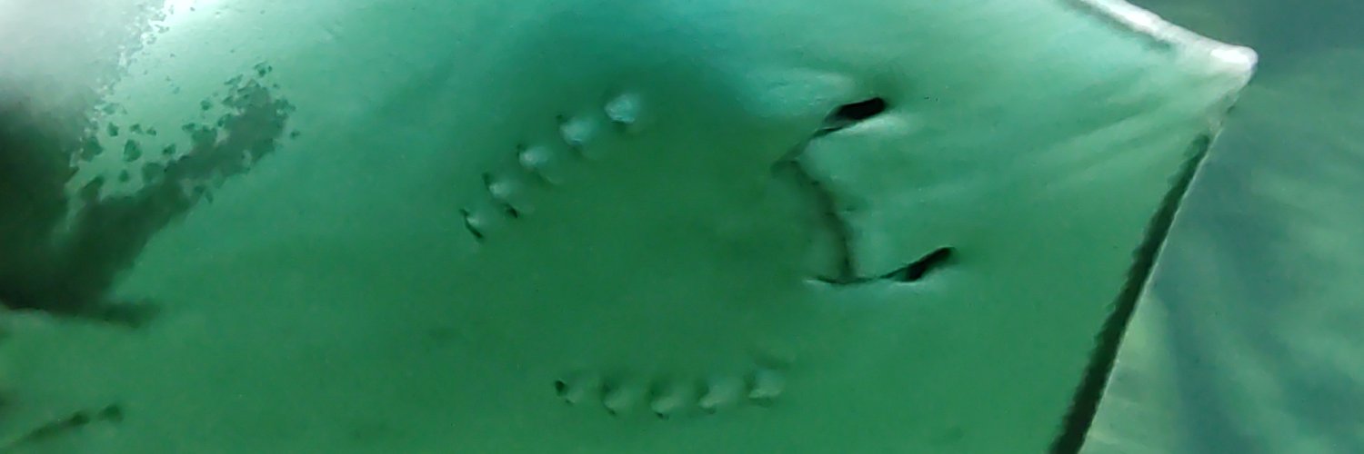 anewavatar's profile banner image