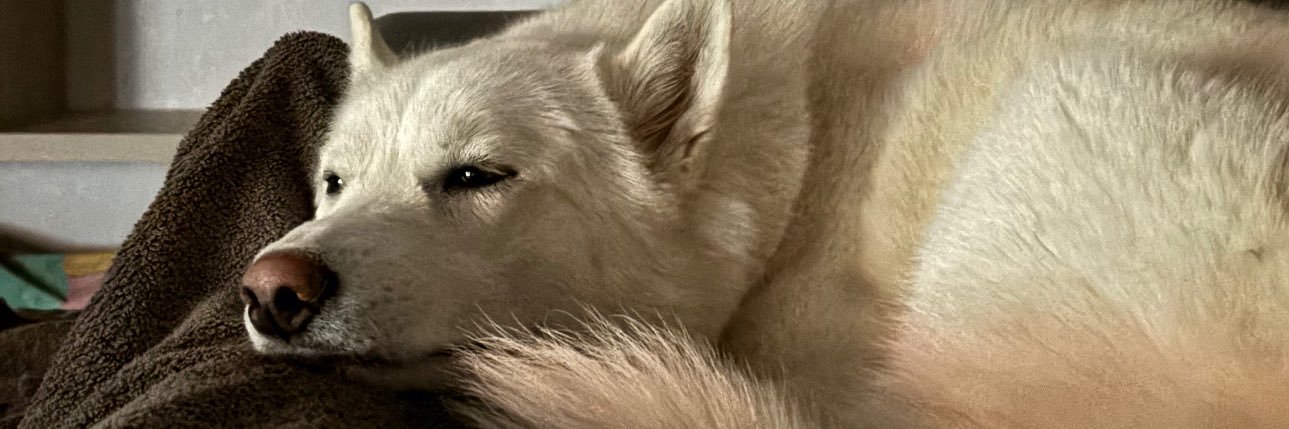 fanniyddd's profile banner image