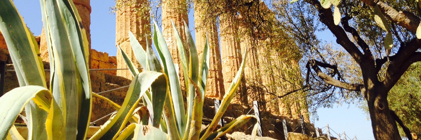 Manuela López Doblas banner