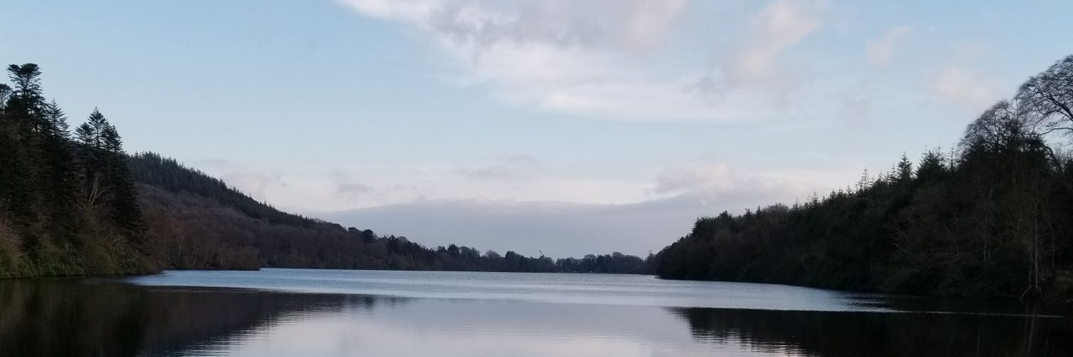 bronachcassidy's profile banner image
