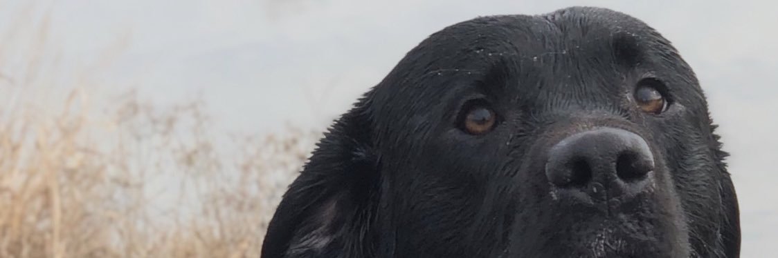 lawson_dulin's profile banner image