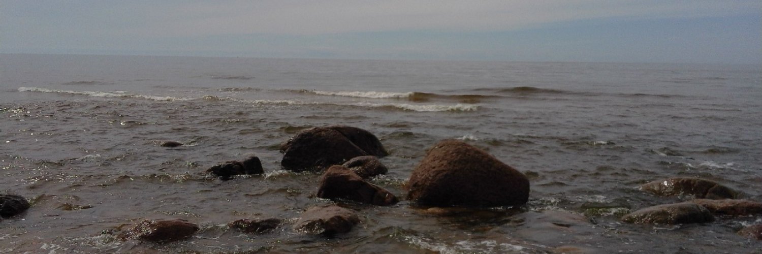 IneseBondare's profile banner image