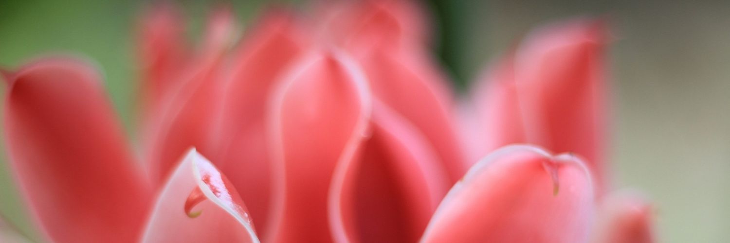 15Angel1591's profile banner image