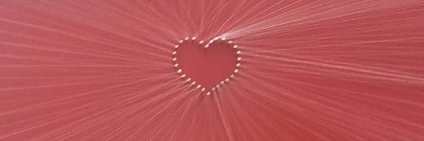 jimcdowell's profile banner image