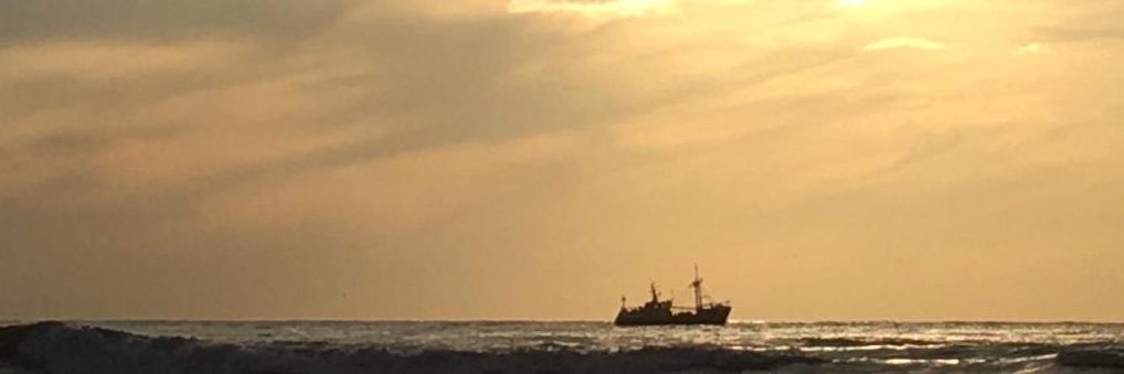 Giebisch's profile banner image