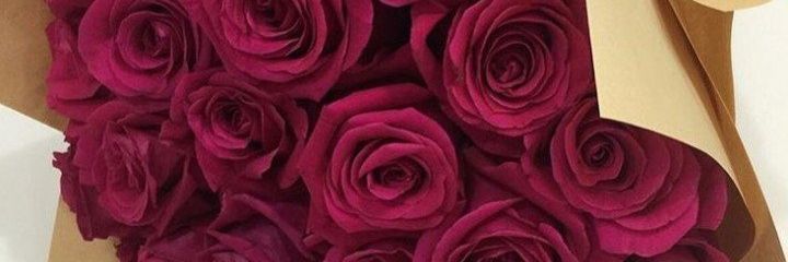 adelaghamdi's profile banner image