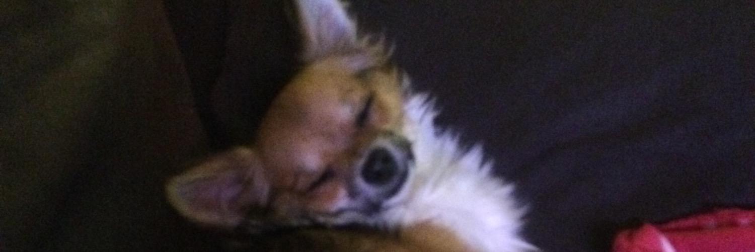 _Taylor_Mandy_'s profile banner image