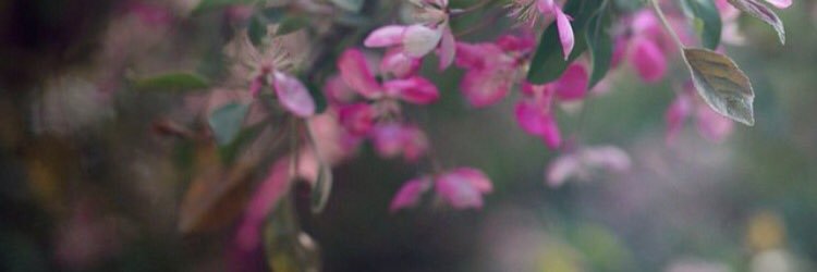 al8282's profile banner image