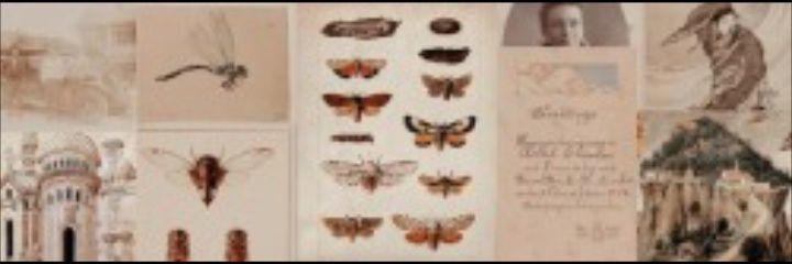 smileofthetommo's profile banner image