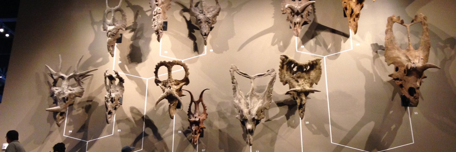 Lisandro M.D. banner