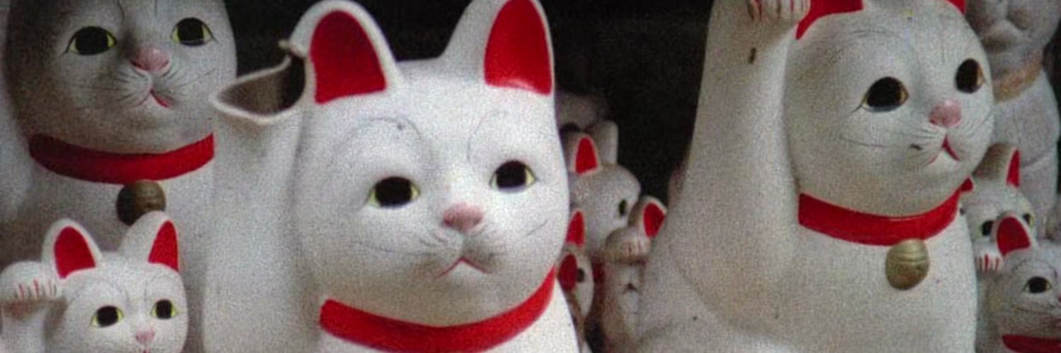 cactusjune's profile banner image