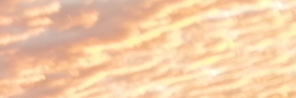 PokkemonMaxi's profile banner image