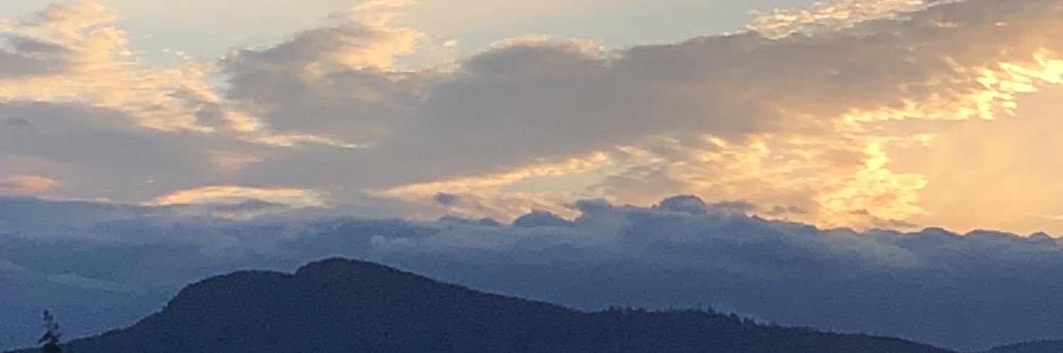 PattiU2's profile banner image