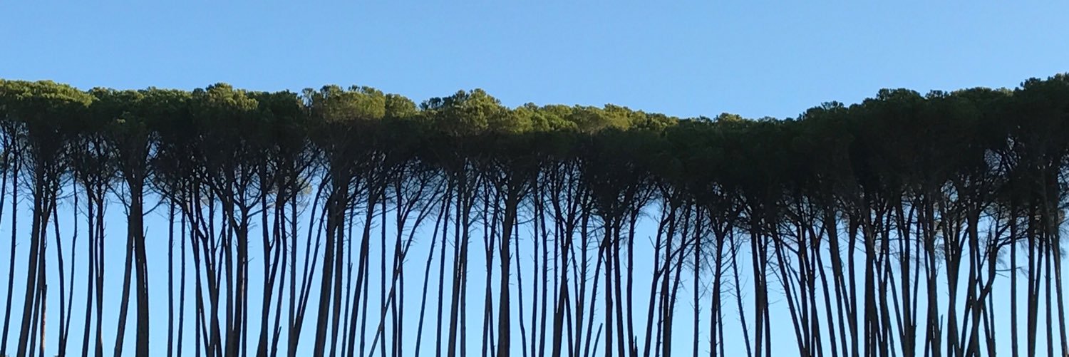 JohanEhlers's profile banner image