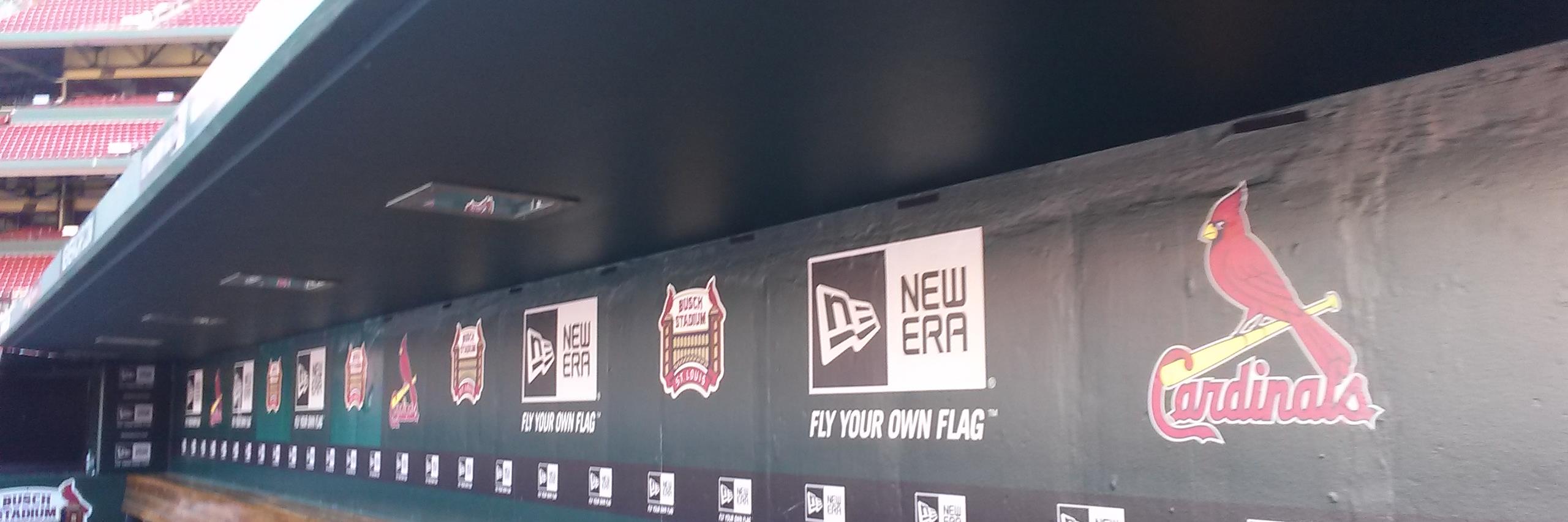 Lauren Rapp banner