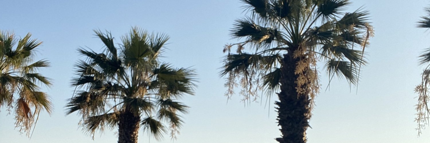 EdnaraO's profile banner image
