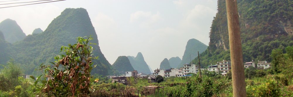 ewangawne's profile banner image