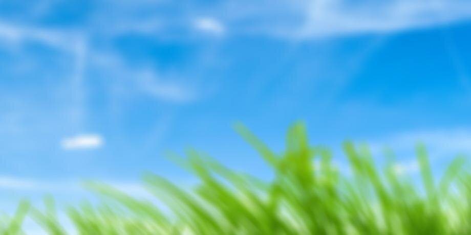 reed_colley's profile banner image