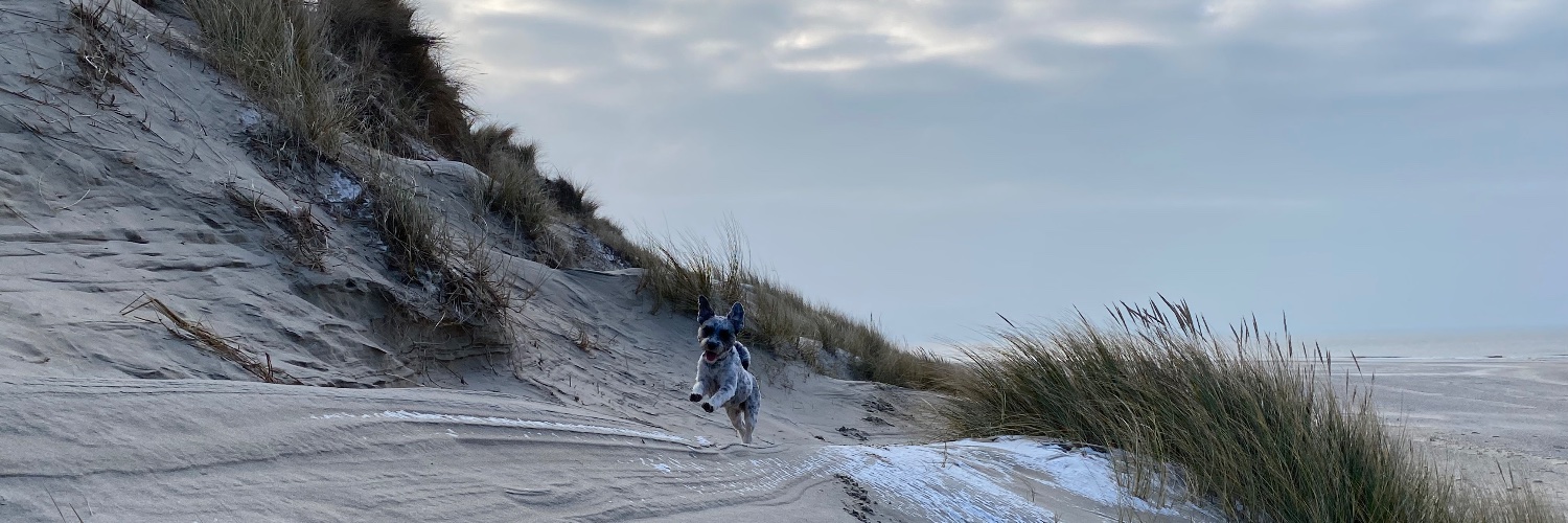 Sandra 🚴‍♀️⚽️ 🏃‍♀️ banner