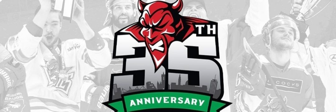 LaneyPerkins's profile banner image