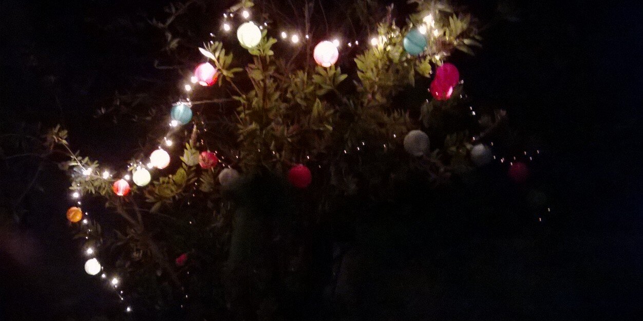 Noelia Sali banner
