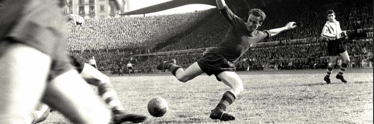 Paloma A. Basora banner