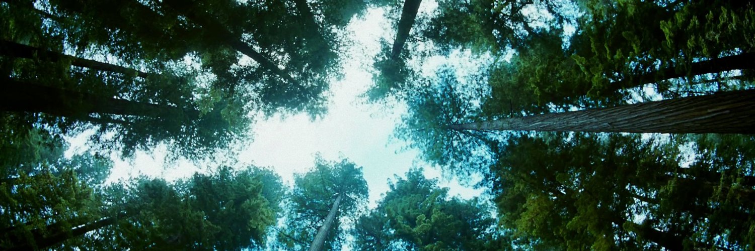 ammoYreal's profile banner image
