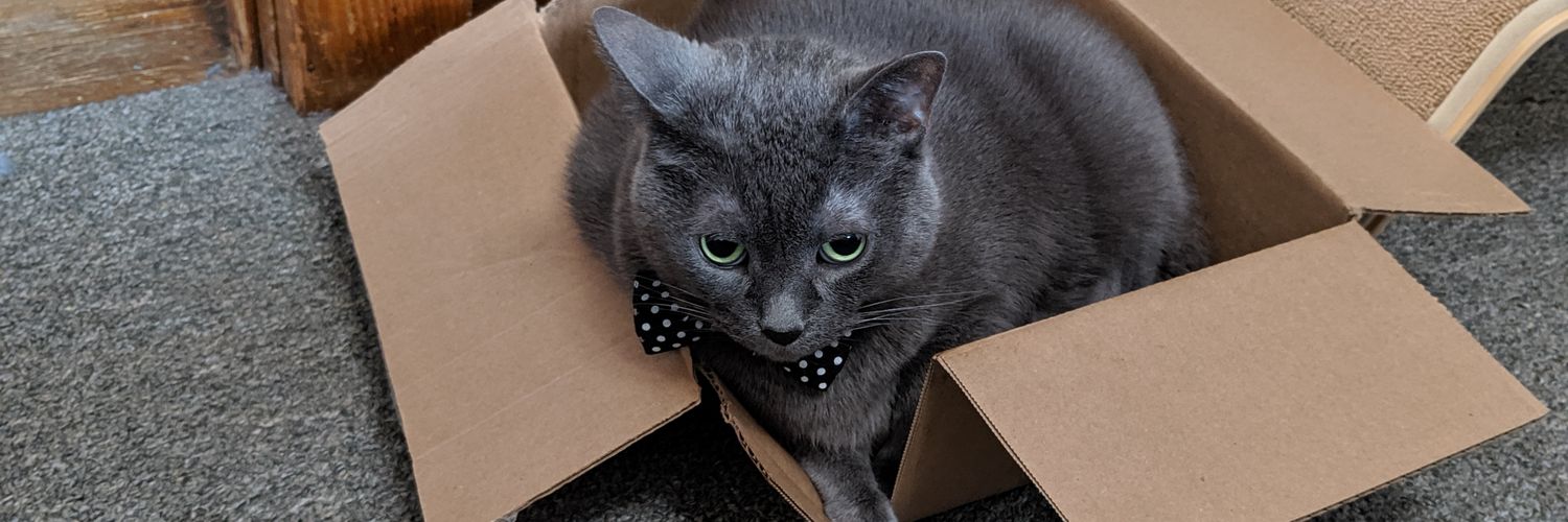 laboratory_cat's profile banner image