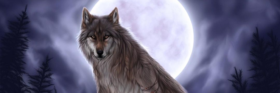 Steventy_EIGHT's profile banner image