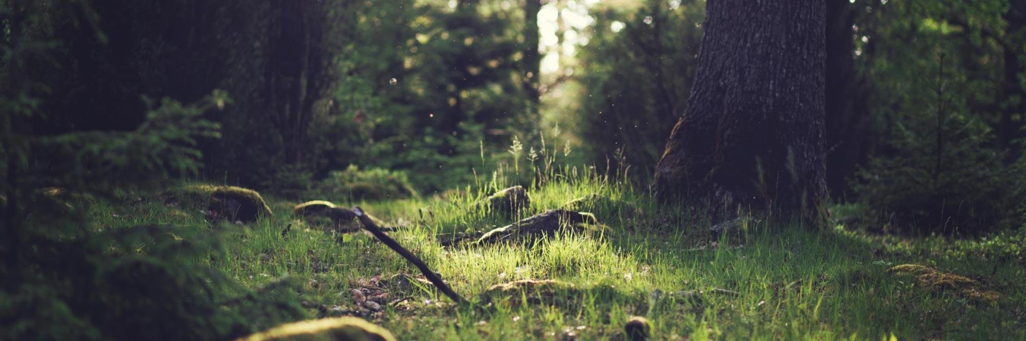 man of steel  banner