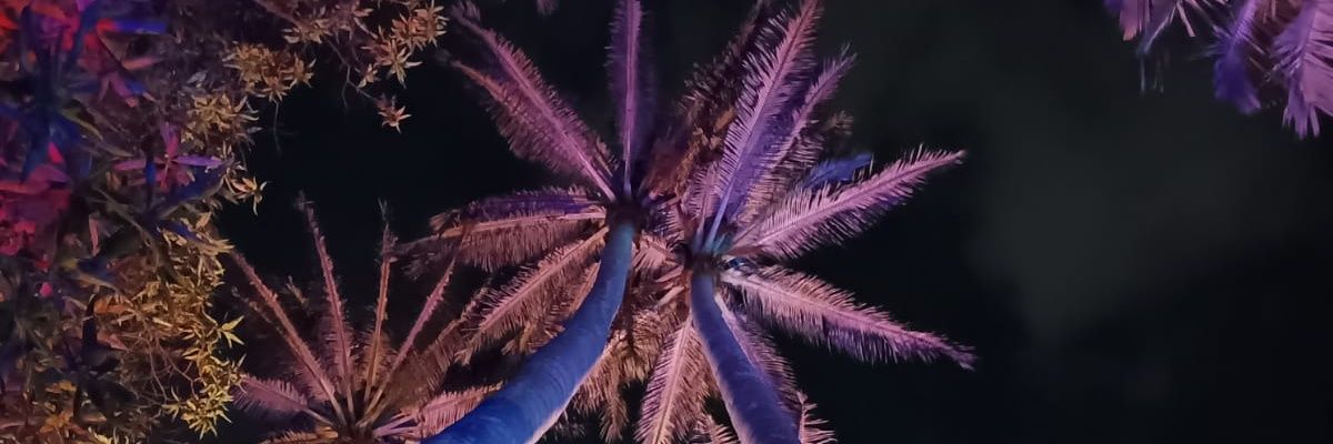 AtaRosse's profile banner image