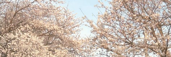 Auslin2's profile banner image
