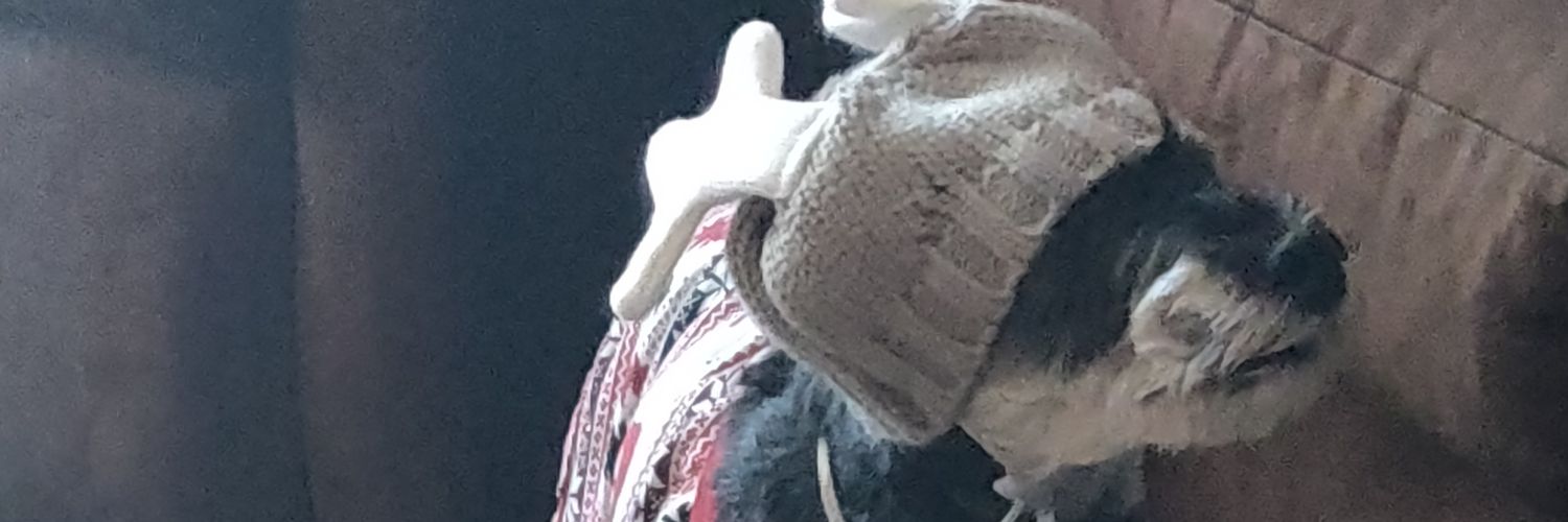 James Buschell banner