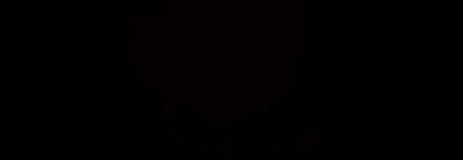 amnoginger's profile banner image