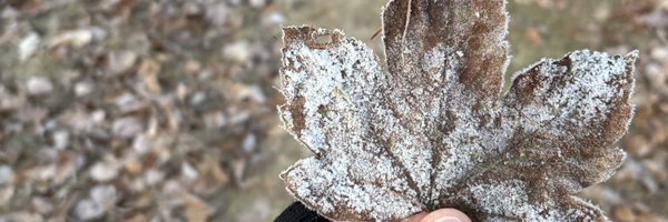 MischiefAndFun Profile Banner