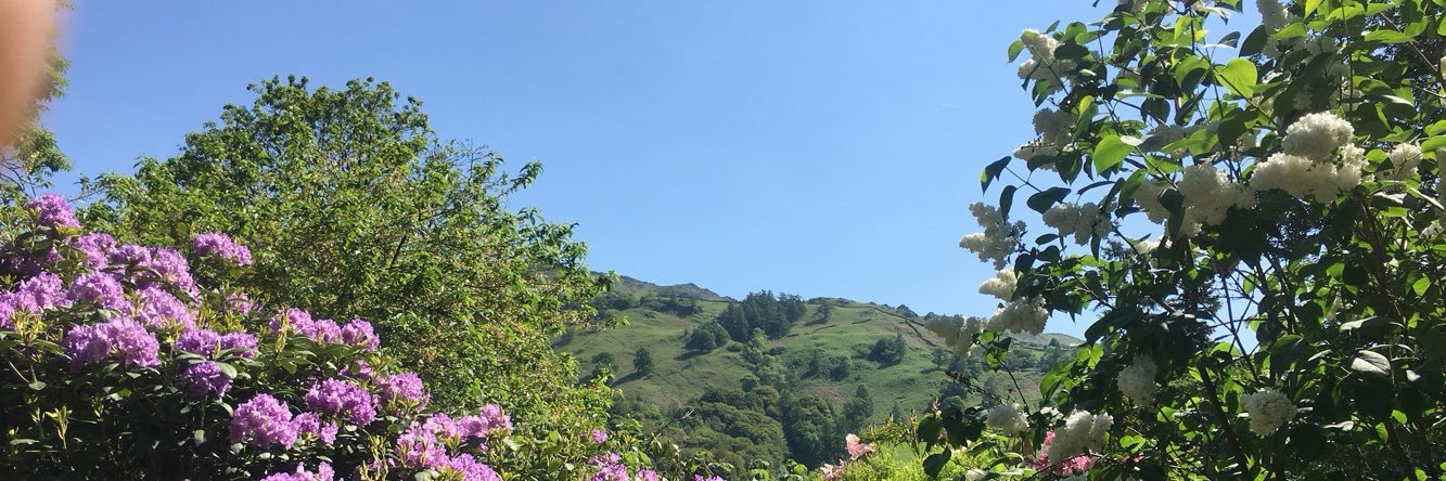 amyceexxo's profile banner image