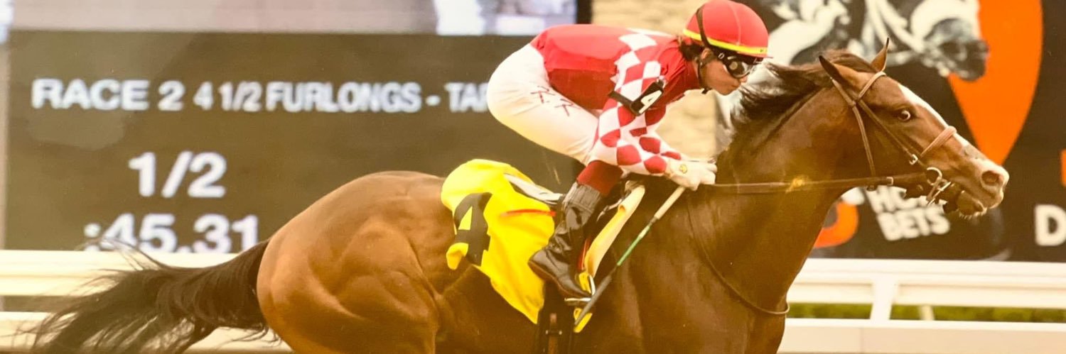 Skip Anderson banner