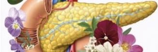 OlcaBasturk's profile banner image