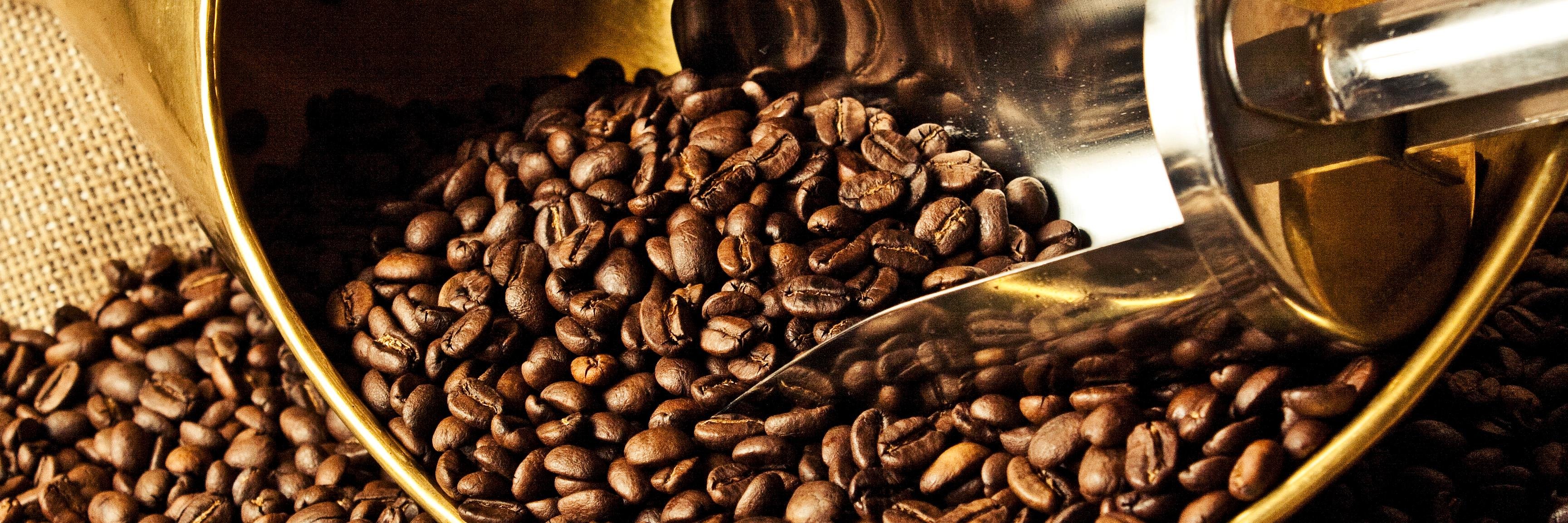 Tomtom Coffee House banner