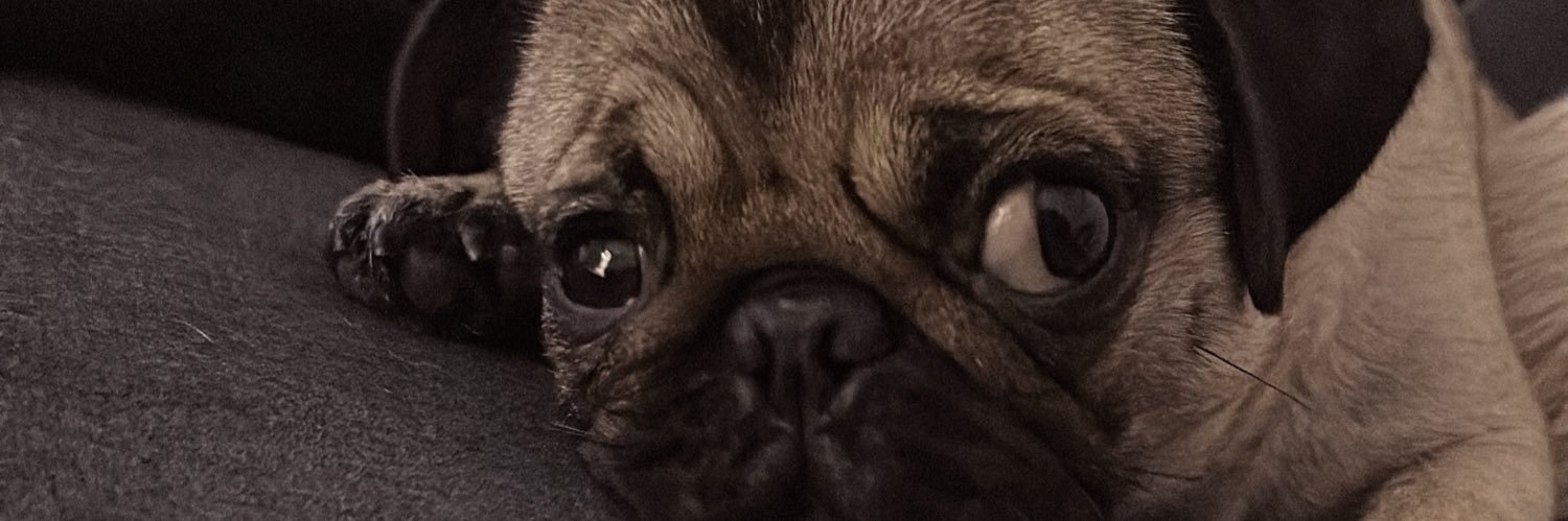 PiechJulieta's profile banner image
