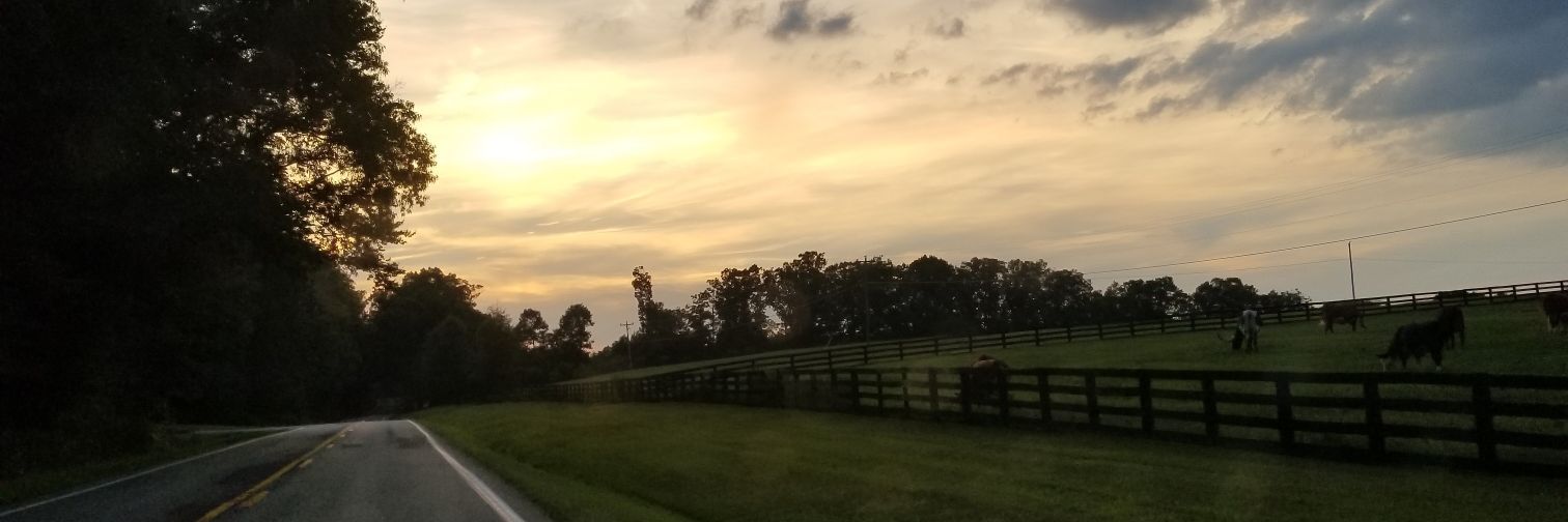 LsaintP's profile banner image