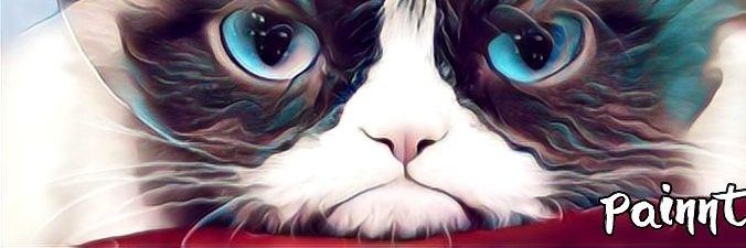 zooculto's profile banner image