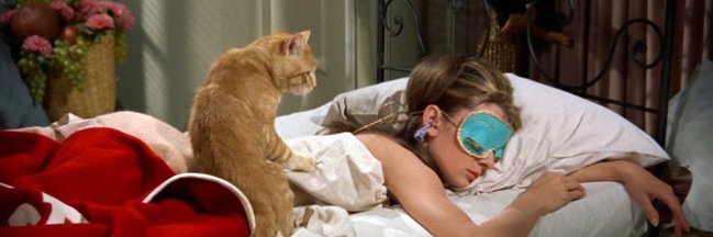 Fanny Declercq banner