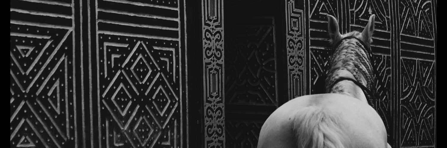 EVZVN's profile banner image