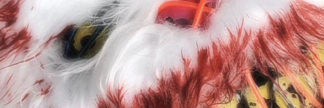 DECKENIS's profile banner image
